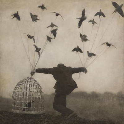 The Gloaming - New Album TBC CD