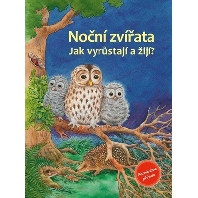 Noční zvířata - Reichenstetter, Friederun