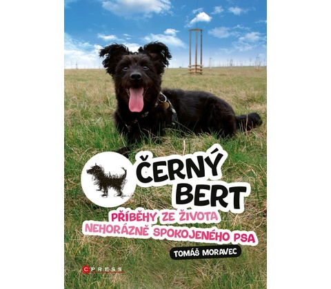 Černý Bert