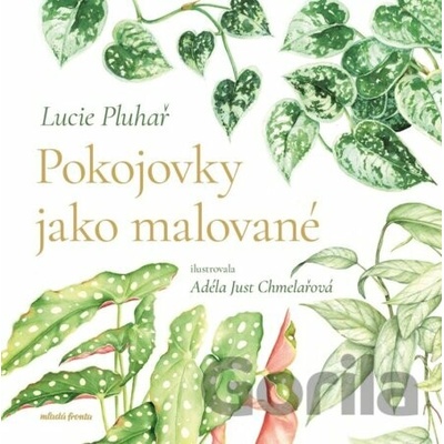 Pokojovky jako malované