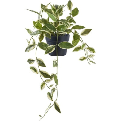 Nordic Living Umělá květina Hoya 33 cm