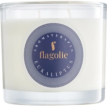 Flagolie Eukalyptus 170 g