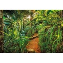 Komar 8-989 Fototapeta Jungle Trail rozměr 368 cm x 254 cm