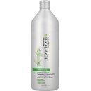 Matrix Biolage Fiberstrong Shampoo 1000 ml