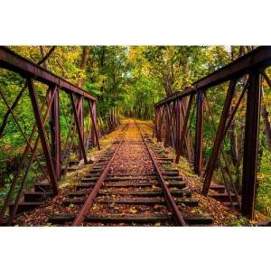 DIMEX ART Флизелинов фототапет железопътна линия в гората 375 x 250 см
