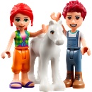 LEGO® Friends - Pony-Washing Stable (41696)