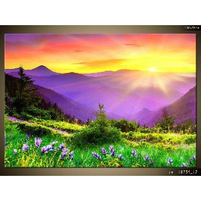 Obraz na plátně-Kvetoucí louka plátno 1 100x70