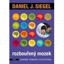 Rozbouřený mozek