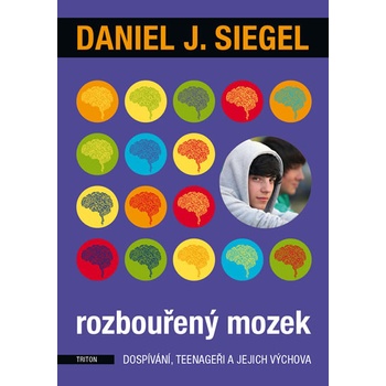 Rozbouřený mozek