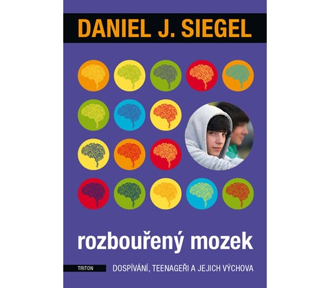 Rozbouřený mozek
