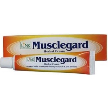 Link Natural bylinná ajurvedská mast na unavené svaly a klouby 25 ml