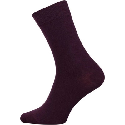 Ponožky One Color slivková