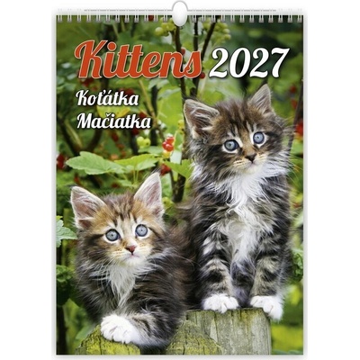 Kittens, 33 x 24 cm 2027