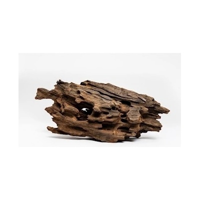 Macenauer Dragon-Wood 10-80 cm