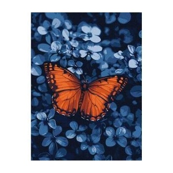 Ideyka Painting by numbers 30x40cm KHO6733 Light in the darkness butterfly AP0072