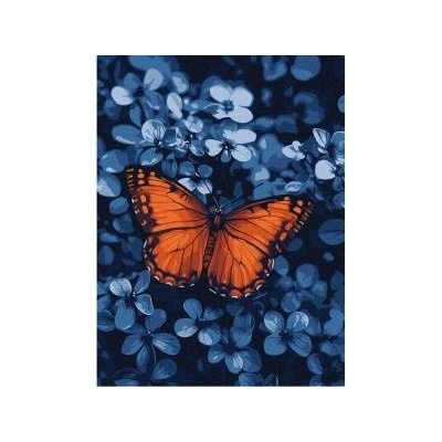 Ideyka Painting by numbers 30x40cm KHO6733 Light in the darkness butterfly AP0072