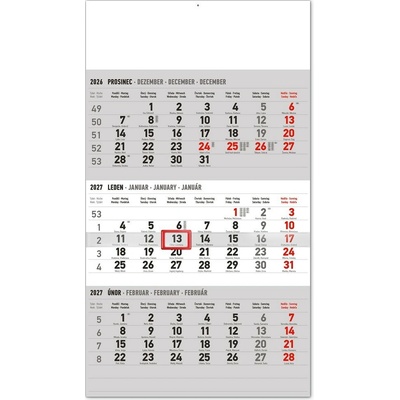 NOTIQUE tříměsíční nástěnný standard s českými jmény šedý, 29,5 × 43 cm 2027