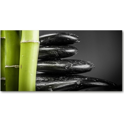 Foto obraz fotografie na skle bambus 100x50 cm