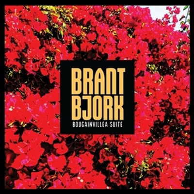Brant Bjork - Bougainvillea Suite (Limited Edition) (Blue Coloured) LP