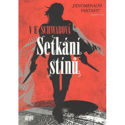 Setkání stínů - Victoria Schwabová