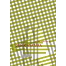 Deník Avatára - Lukáš Marvan