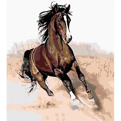 Zuty Malování podle čísel HNĚDÁK V PÍSKU