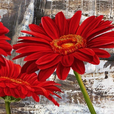 Červené gerbery 2 1 deska 30x30