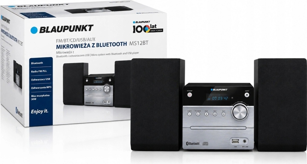 Blaupunkt MS12BT