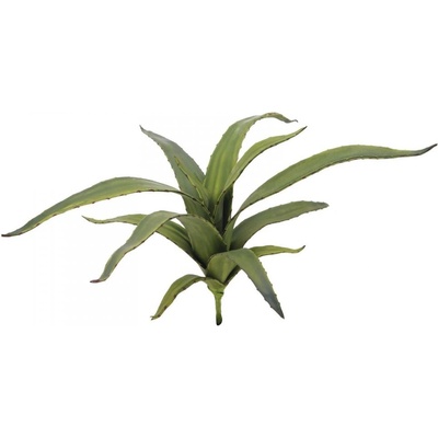 Aloe vera zelená, 66 cm