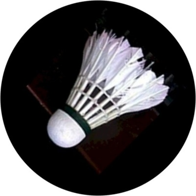 VIZINGR Badminton MINI logo L 1 č.160