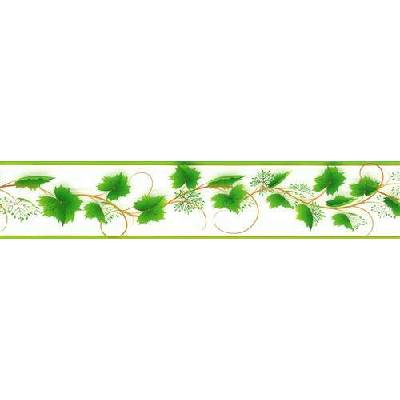 IMPOL TRADE D 58-045-1 Samolepící bordura vinná réva zelená, rozměr 5 m x 5,8 cm – Zboží Dáma
