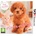 Nintendo Nintendogs + Cats Toy Poodle & New Friends (3DS)