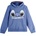 Cerda Суитшърт stitch