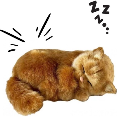 Perfect Petzzz Zrzavá kočka angorská 25 cm