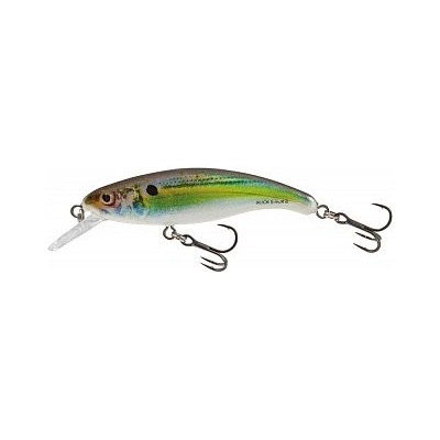 Salmo Slick Stick 6cm Floating Holo Shad