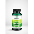 Doplňky stravy Swanson Saw Palmetto 540 mg 100 kapslí