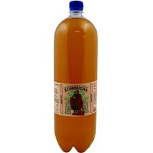 Stevikom Kombucha Green Tea 2 l