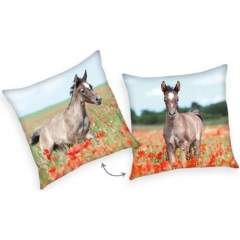 Herding Obojstranný vankúš KONE 40x40