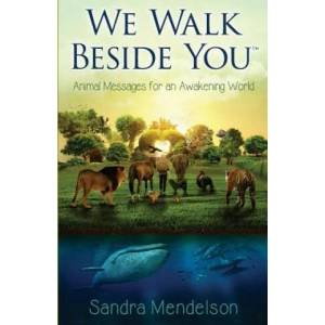 We Walk Beside You | Sandra Mendelson (ISBN: 9780999270400)