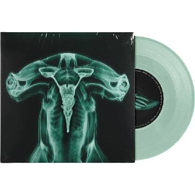 & Shygirl - Shark Brain / Dolphin (Glow in the Dark Coloured) (7" Single) (810162873202)