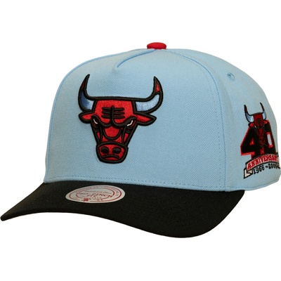 Mitchell & Ness In The City NBA Chicago Bulls Light Blue