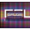 Gauge