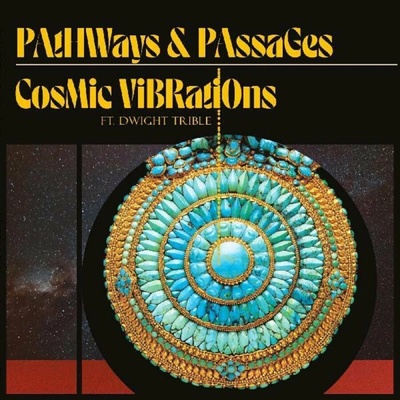 SPIRITMUSE RECORDS COSMIC VIBRATIONS AND DWIGHT TRIBLE - Pathways & Passages LP