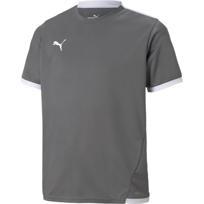 Puma teamLIGA dres JR 70492513