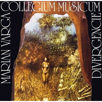 Collegium Musicum - Divergencie (180g) (2 LP) (8584019122110)