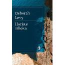 Horúce mlieko