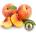 Inawera Концентрат за база Inawera с аромaт PEACH/ПРАСКОВА 10ml