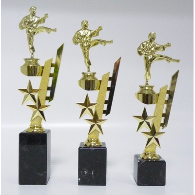 VIZINGR Karate trofeje MUŽI 38-F10 29 cm