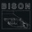 BISON - ONE THOUSAND NEEDLES LP