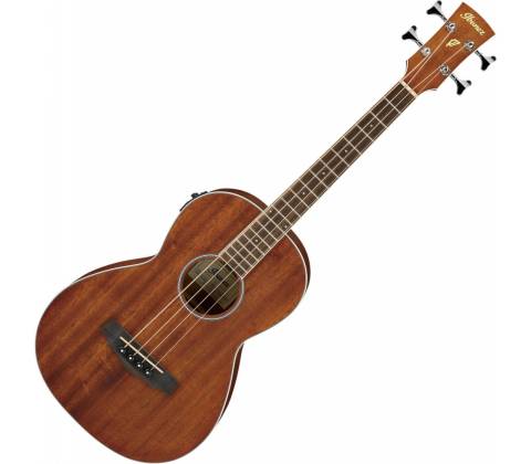 Ibanez PNB14E